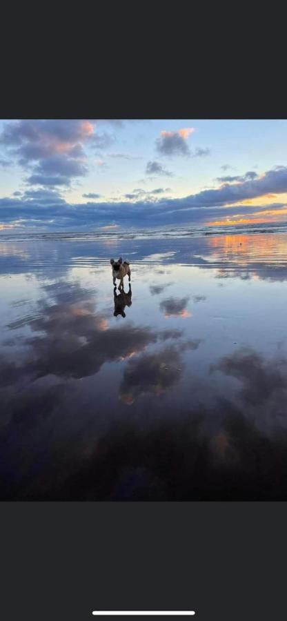 Lovely Coastal House In The Western Lake District Minimum 3 Night Stay เซนต์บีส์ ภายนอก รูปภาพ